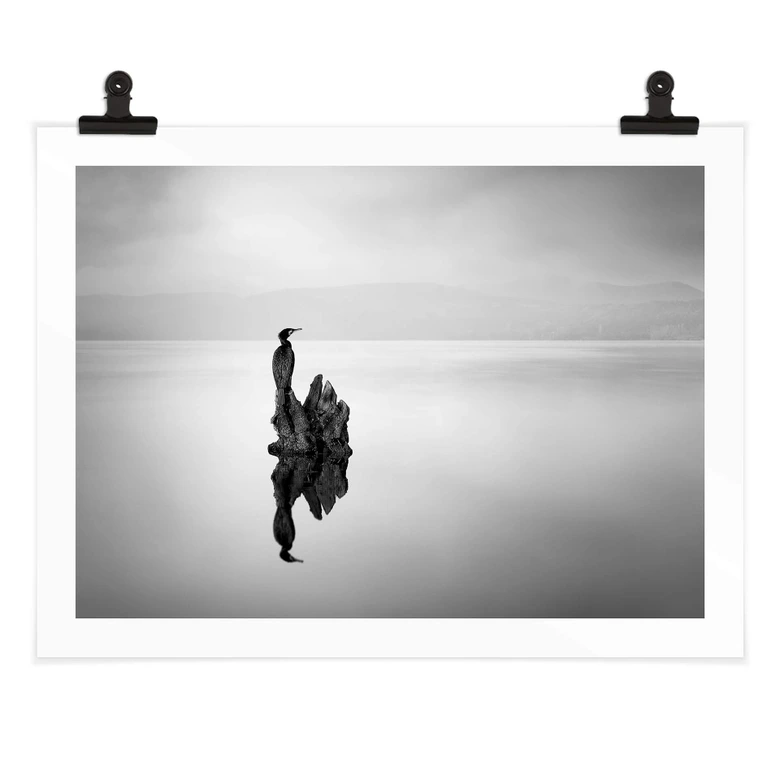 Poster Digalakis - Eleganter Wasservogel 