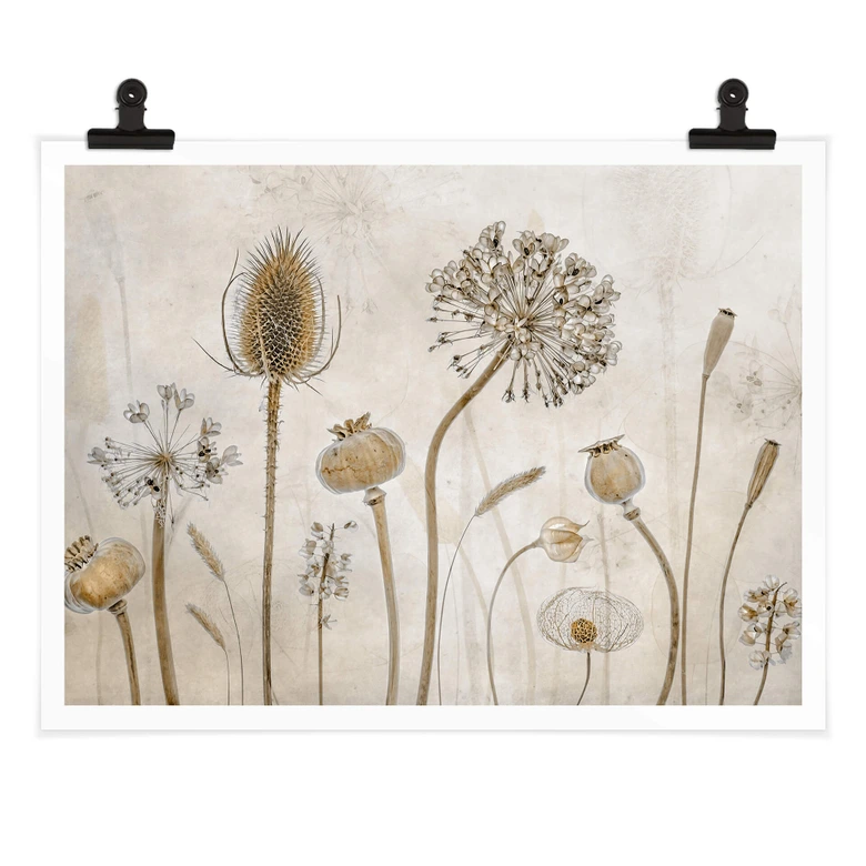 Poster Disher - Trockenblumen 