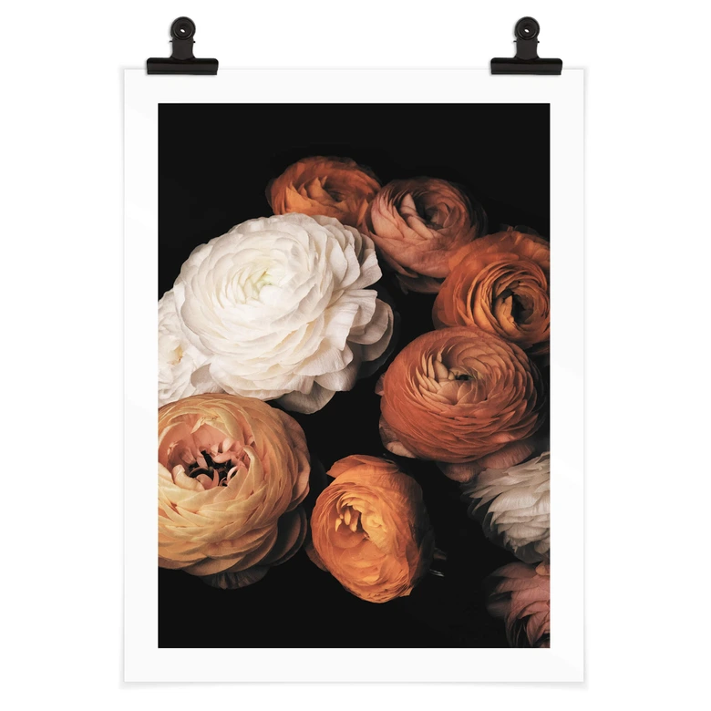 Poster FiguraNYC Photography - Ranunkeln Stillleben 