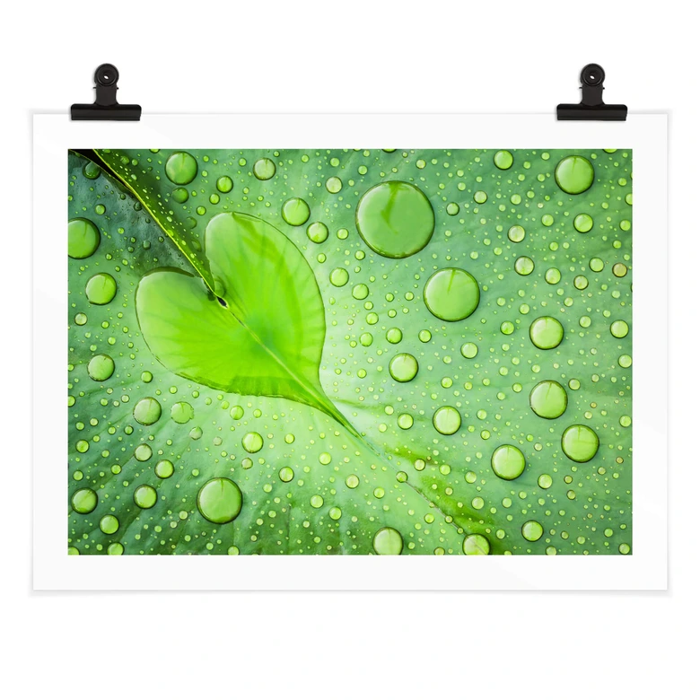 Poster Hart van Regen 