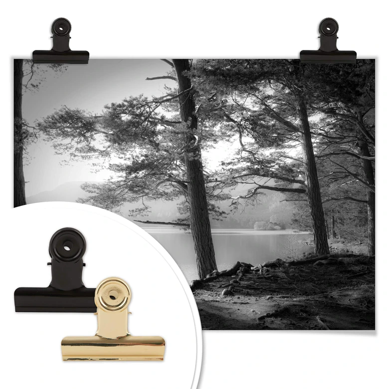 Póster Fuhg - Vista del lago 