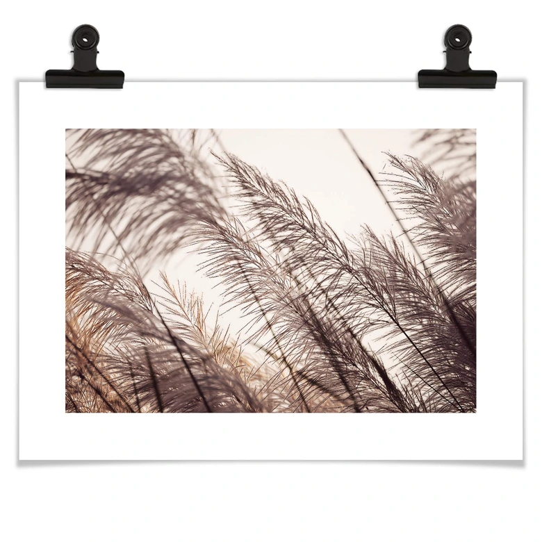 Poster Herbes en pastel 