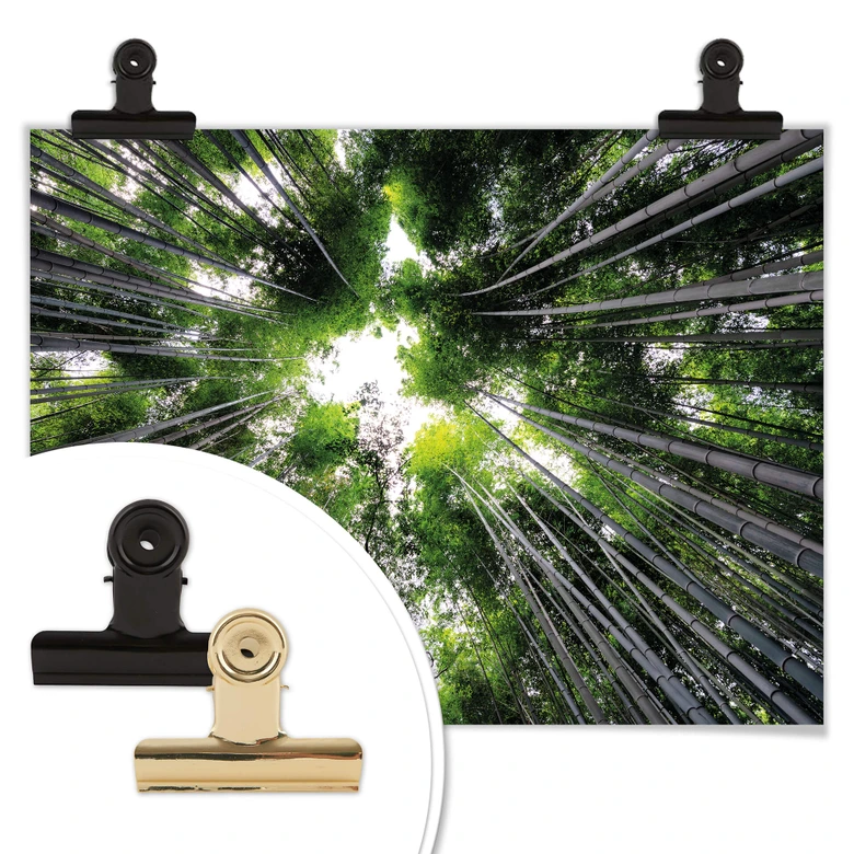 Poster Hugonnard - Wald in Japan 