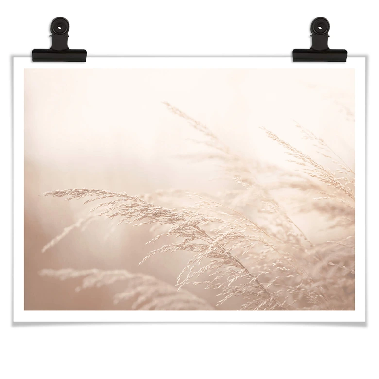 Poster Im Morgenlicht 