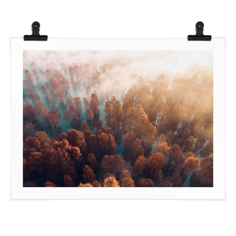 Poster Herbstwald im Nebel - Ioricon 