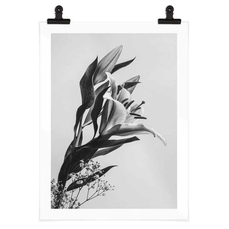 Poster Jo - Zauberhafter Lilie schwarz-weiß 
