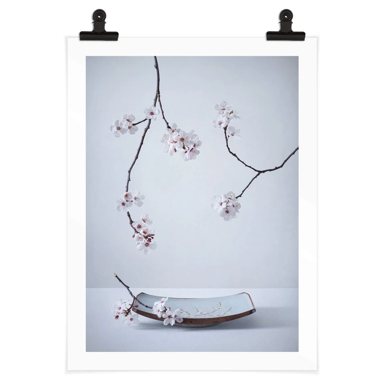 Póster Karpova - Spa y Zakura - Naturaleza muerta floral de primavera 