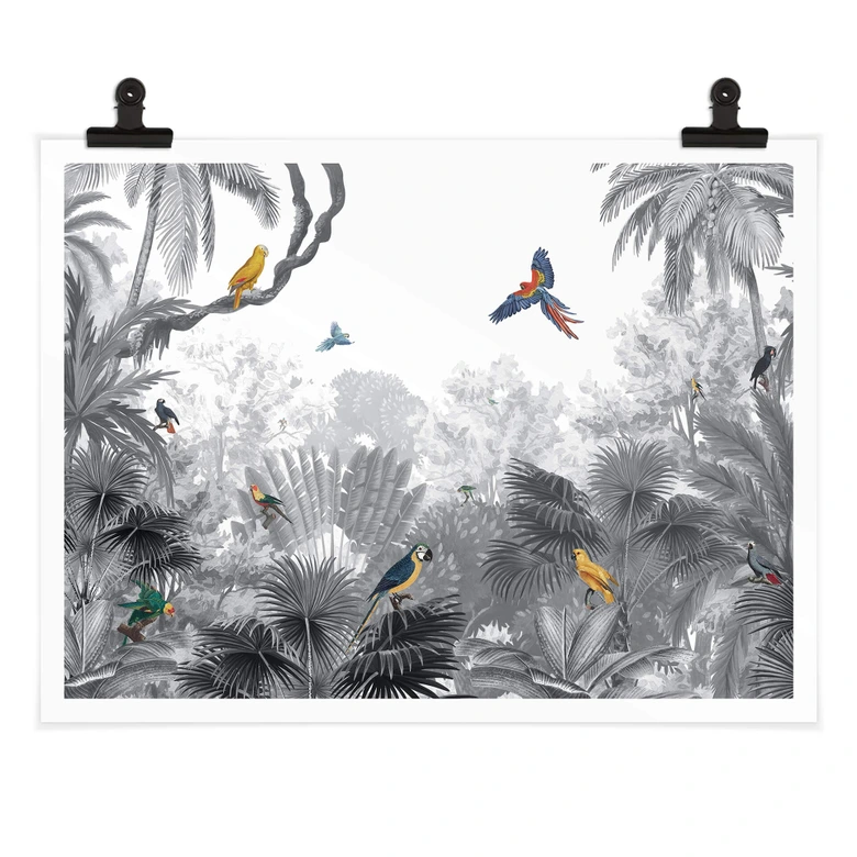 Poster Kikki Belle - Tropische Vogels in het zwart wit 