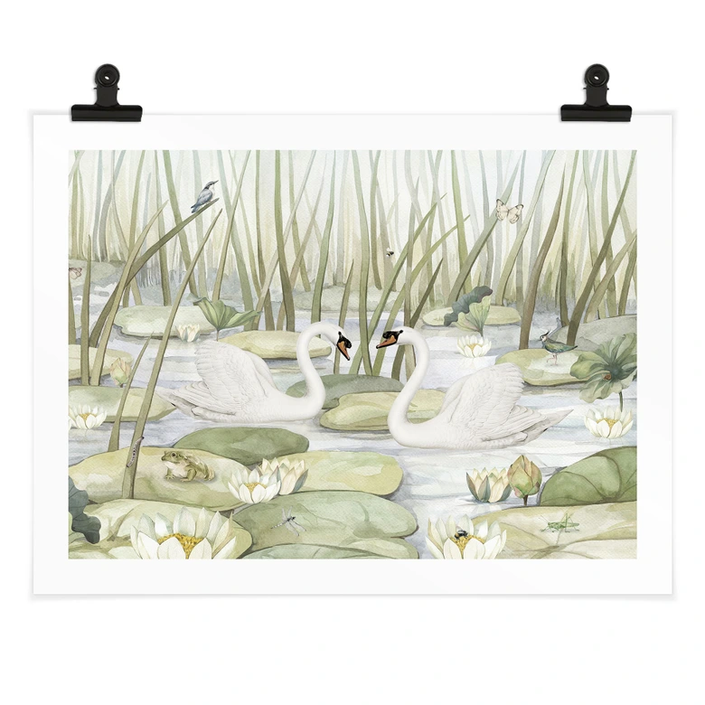 Poster Zwei Schwäne im Teich - Kikki Belle 