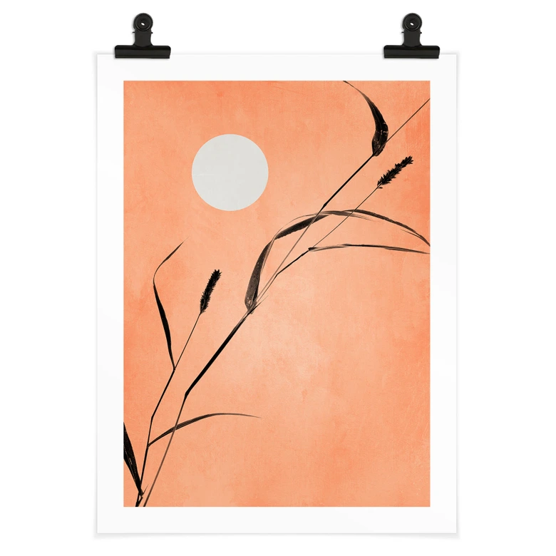 Plakat Siv i ferskenfarvet solskin - Kubistika 