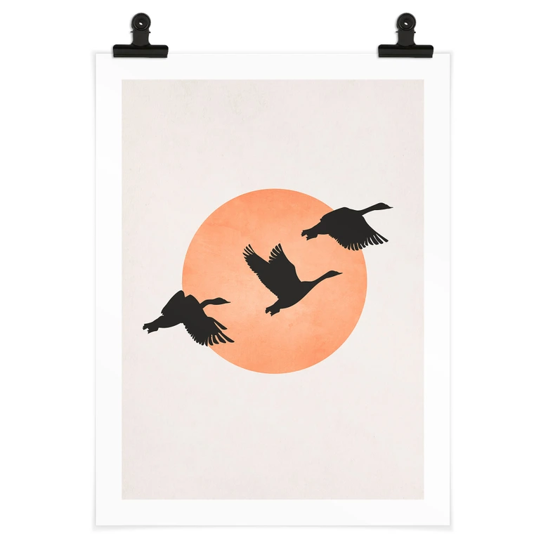 Plakat ptaki na tle brzoskwiniowego słońca - Kubistika 