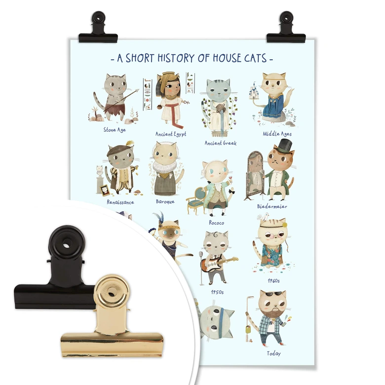 Poster Loske - History of house cats 