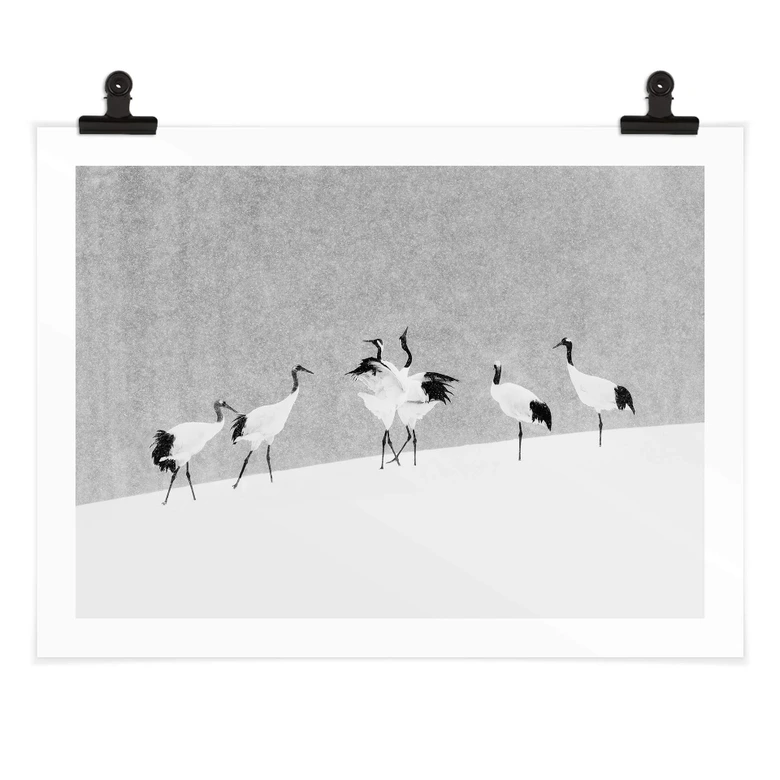 Plakat Marchegiani - Żurawie w zaśnieżonym krajobrazie 