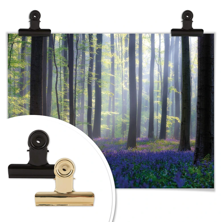 Poster Popan - Hyacinthen 