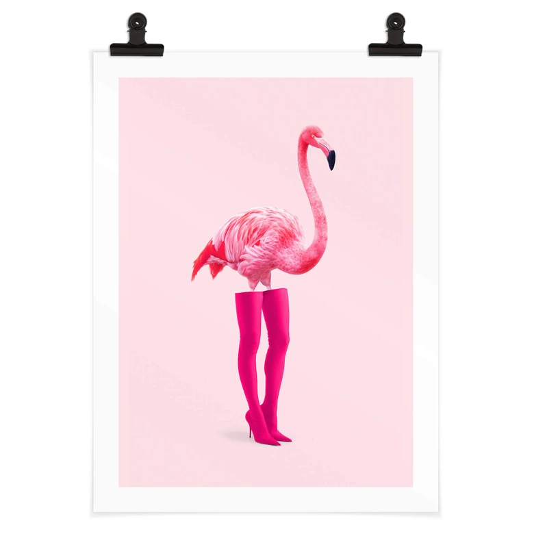 Poster Flamingo pink - Pozdniakov - Flaminciaga 