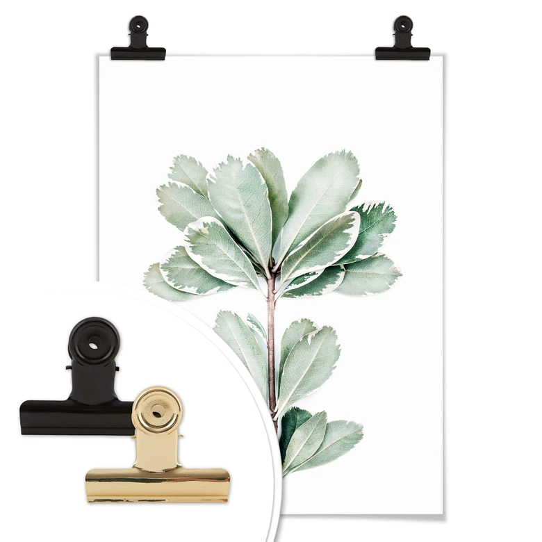 Poster Sisi & Seb - Botanik 