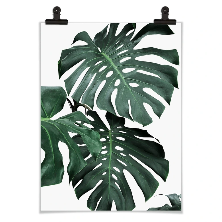 Plakat - Sisi & Seb - Monstera 
