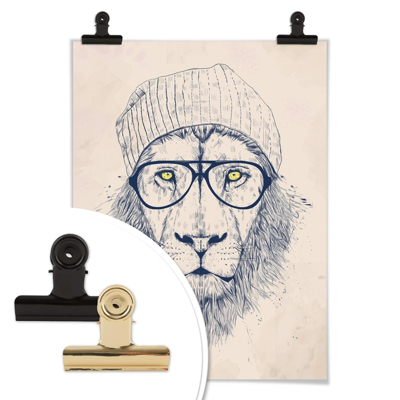 Poster Solti - Cool lion 