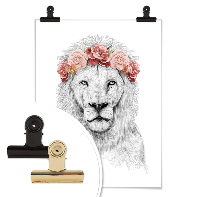 Plakat - Solti - Festival Lion 