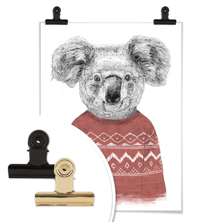 Poster Solti - Koala im Winter 
