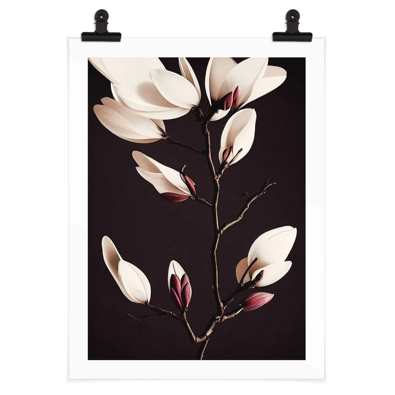 Poster Edle Magnolienblüten - Blumenposter - Treechild 
