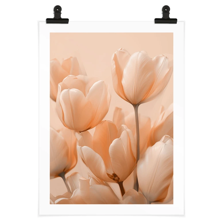 Poster Pfirsichfarbene Tulpen - Treechild 