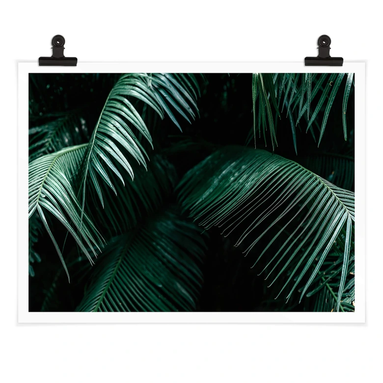 Poster Botanique tropicale 