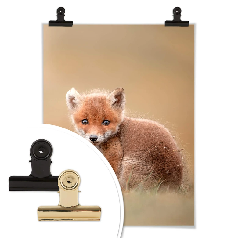 Plakat - van Duijn - Baby fox 