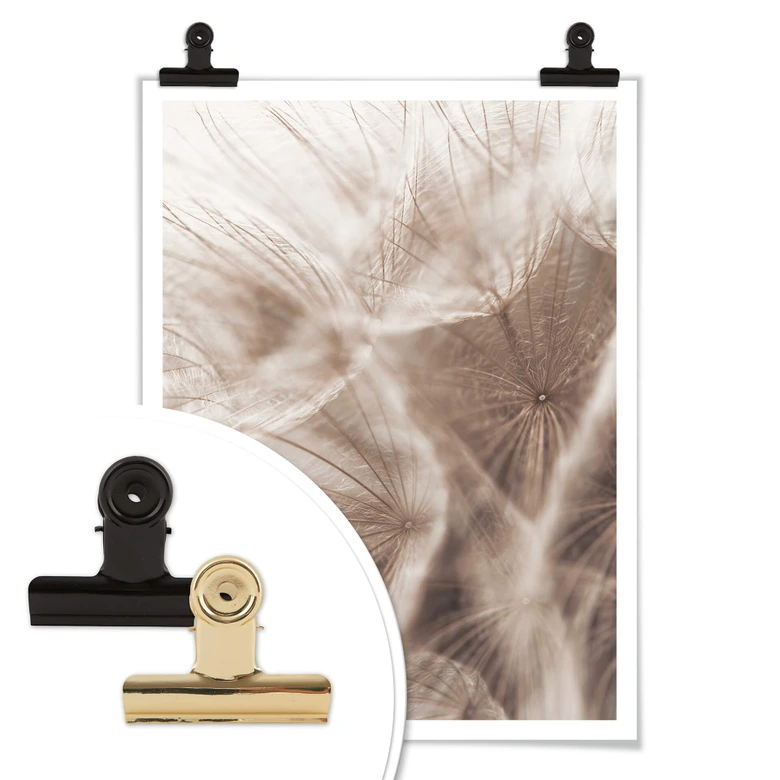 Poster Zarte Pusteblume 