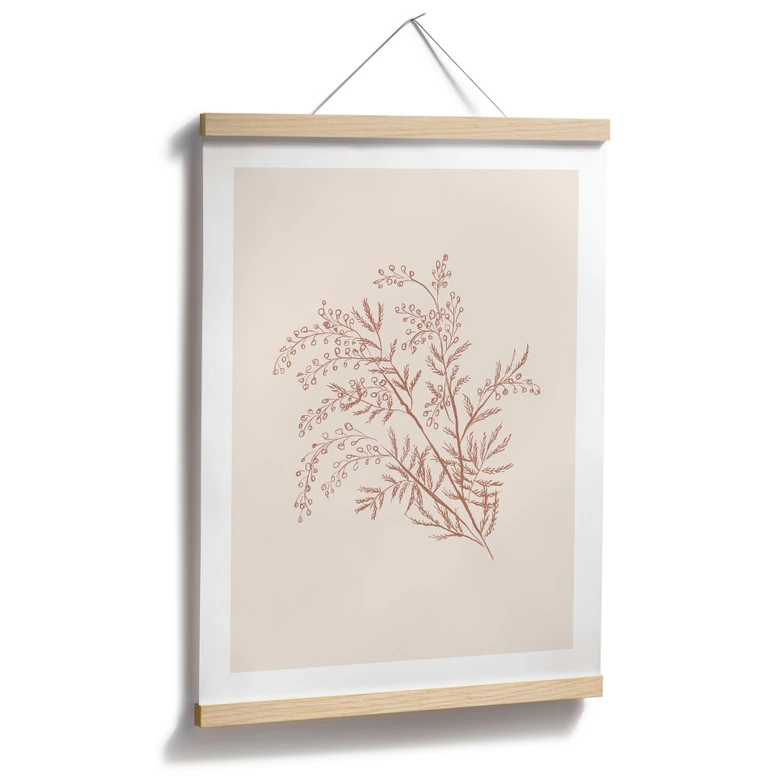 Poster Zweig der Akazie in Mokkafarben - Anis Illustration 