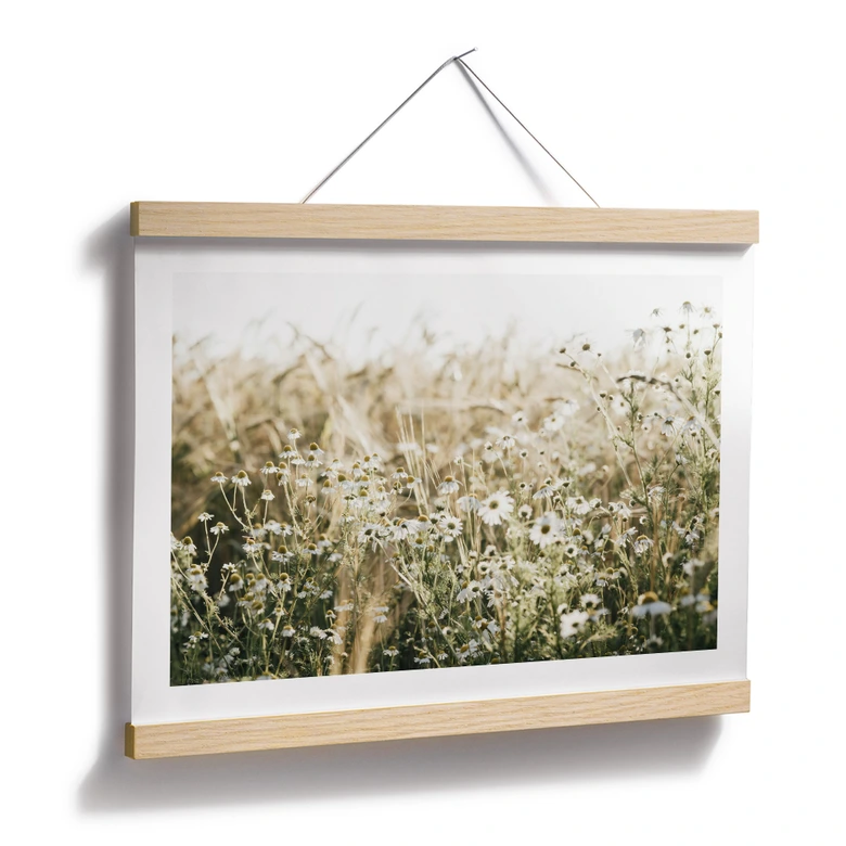 Poster Sommerwiese mit Kamille - Annie 