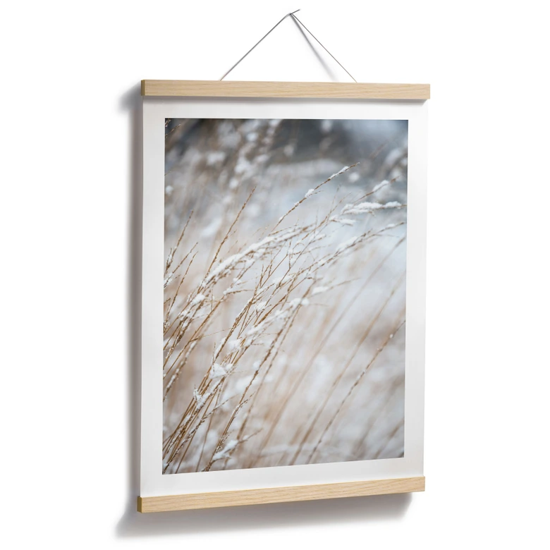 Poster Zarte Gräser im Schnee - Böhmer 