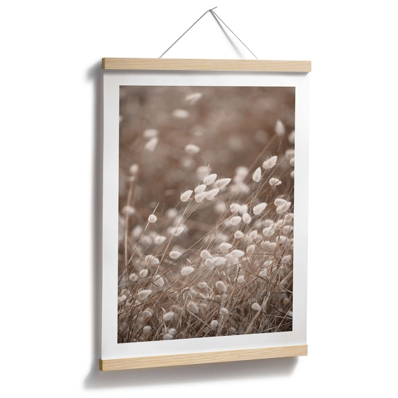 Poster Zarte Gräser im Herbstlicht - Collins 