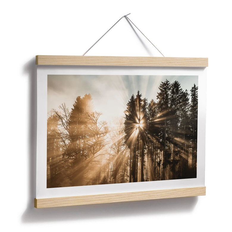 Natur Poster Lichtstrahlen im Wald - Eisenmann 