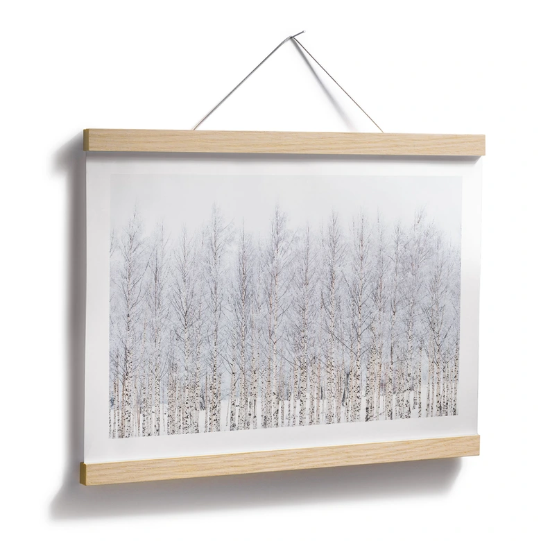 Poster Forêt de bouleaux en hiver - EMELIEmaria 