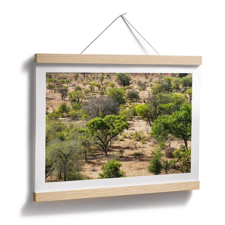 Plakat savannelandskab i Afrika - Hugonnard 