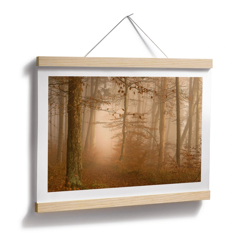 Poster Dunst und Licht im herbstlichen Wald - Maier 