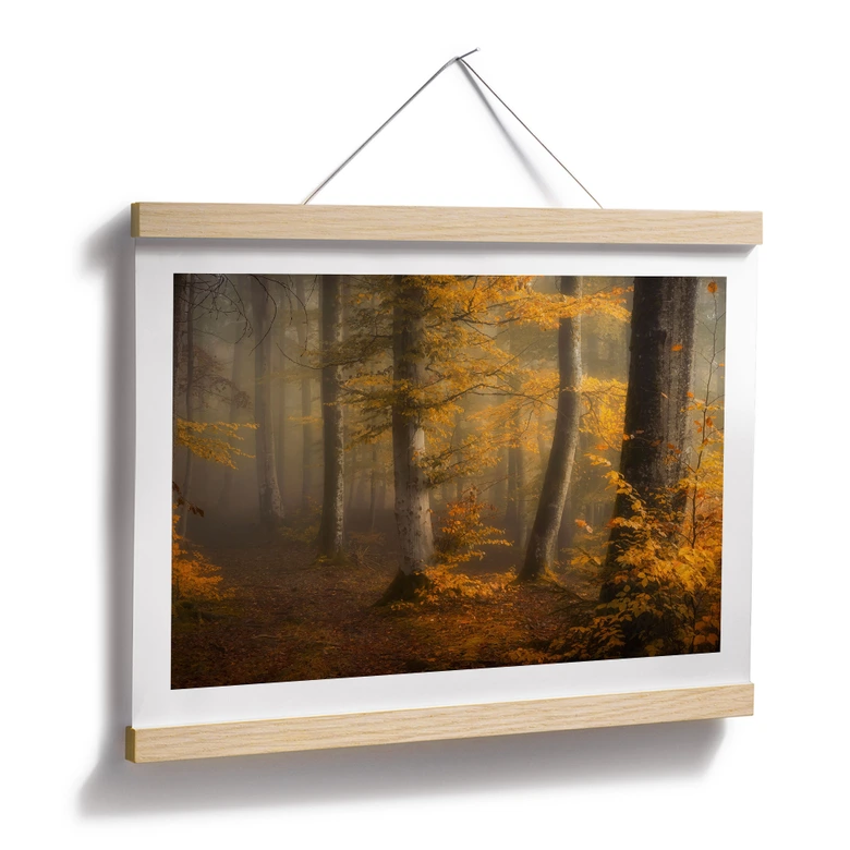 Poster Feuilles d'or dans la forêt brumeuse - Maier 