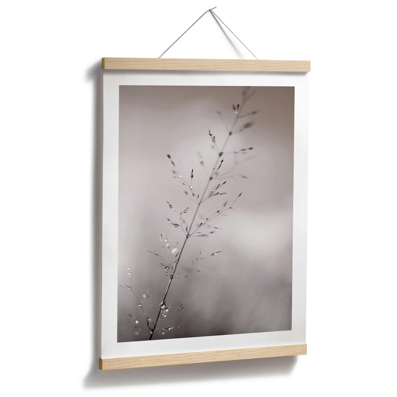Poster mit Natur-Motiv - Grashalm mit Tautropfen - Sillen 