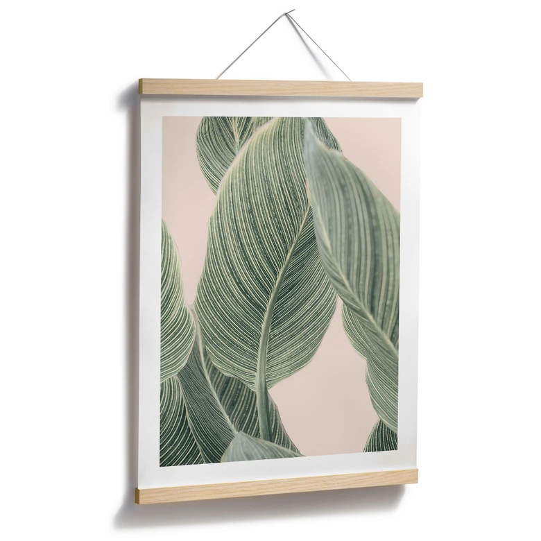 Poster Calathea växt - Sisi & Seb 