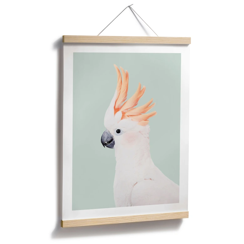 Póster retrato animal cacatúa rosa - Sisi & Seb 