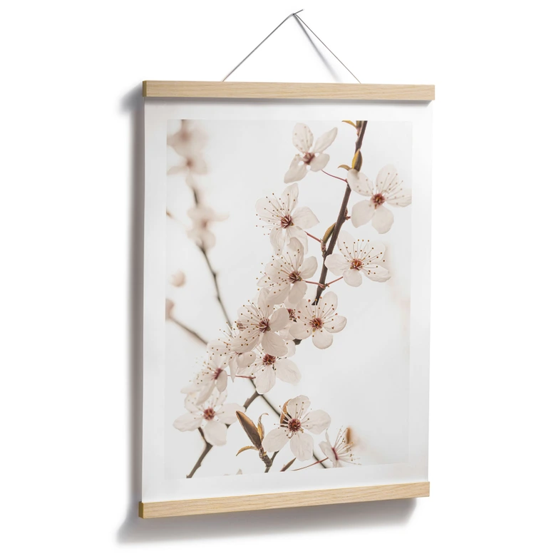 Poster Branche avec fleurs de cerisier blanches - Sisi & Seb 
