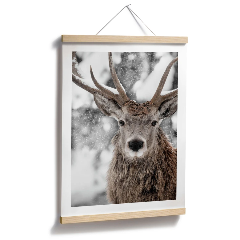 Poster Winter - Hirsch im Schneegestöber - Strigel 