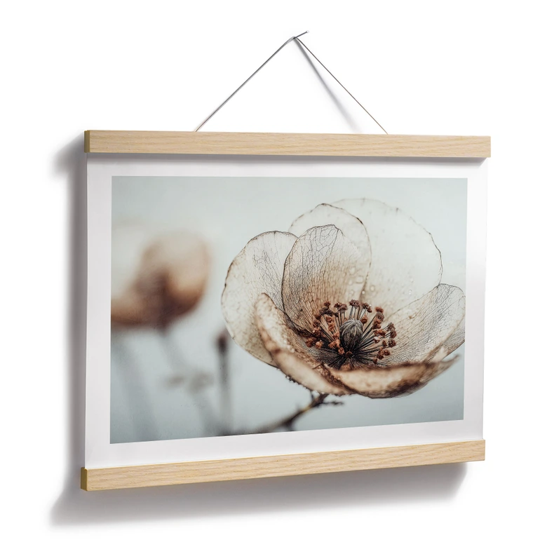 Blumen Poster Trockenblüte Beige Naturpoesie - Treechild 