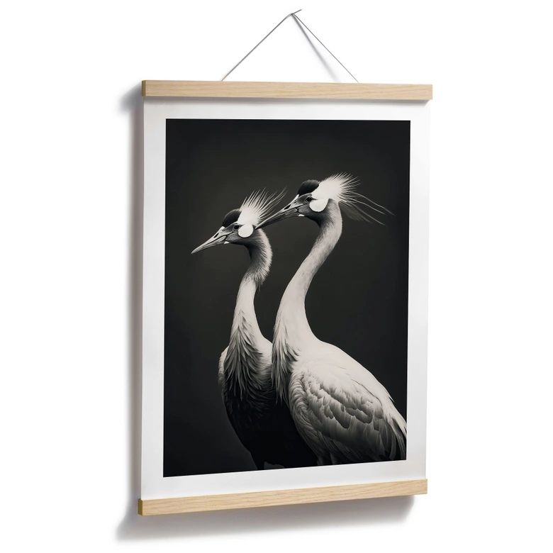 Poster Zwei Kronenkraniche in Schwarz-Weiß - Treechild 