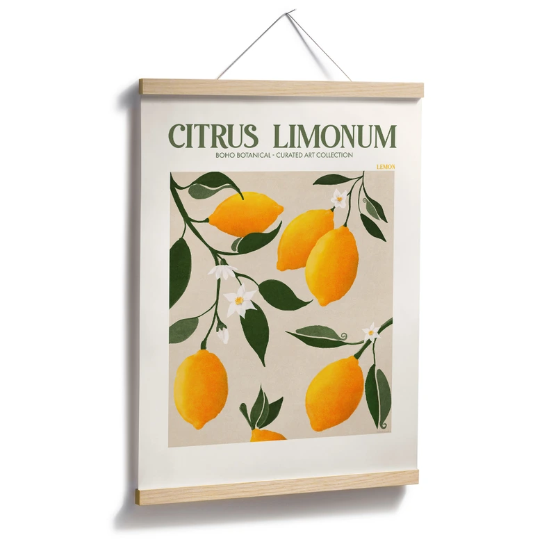 Plakat Frugt - Boho citrontræ - Citrus Limonum - Tunaboylu 
