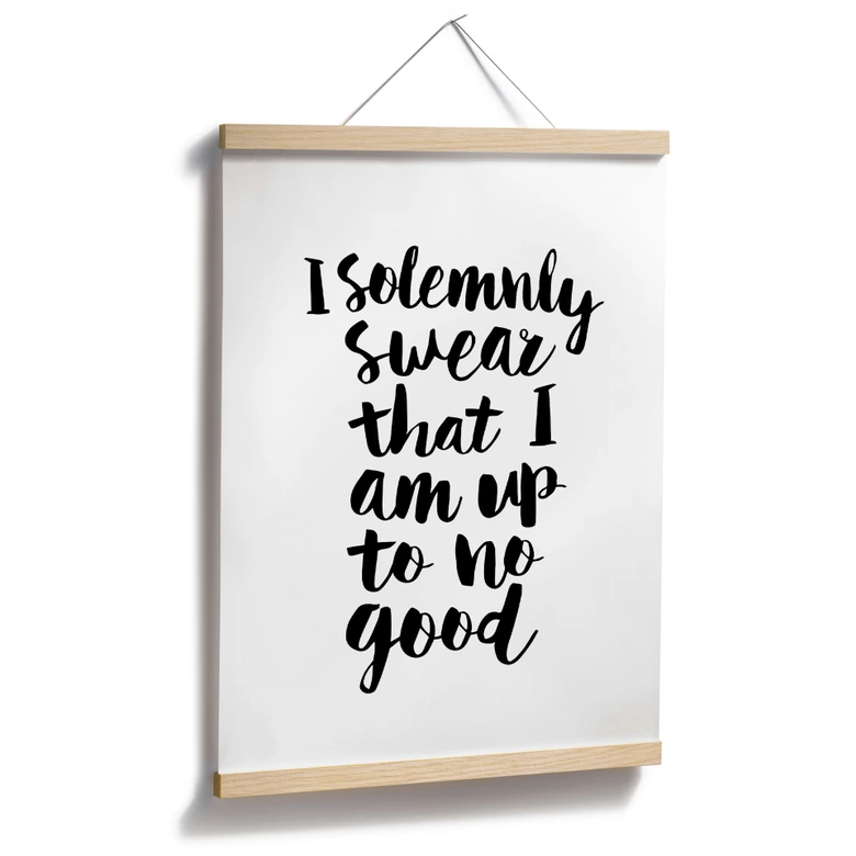 Spruch Poster I solemnly swear - Wilson 
