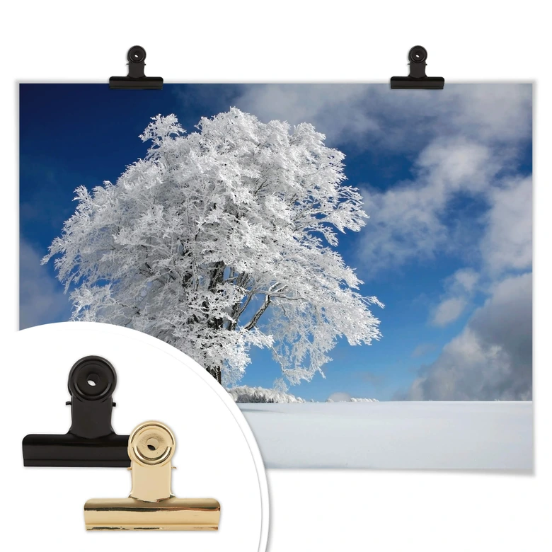 Poster Schumacher - White Winter Tree 