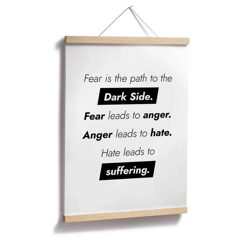 Poster Fear is the path to the Dark Side 
