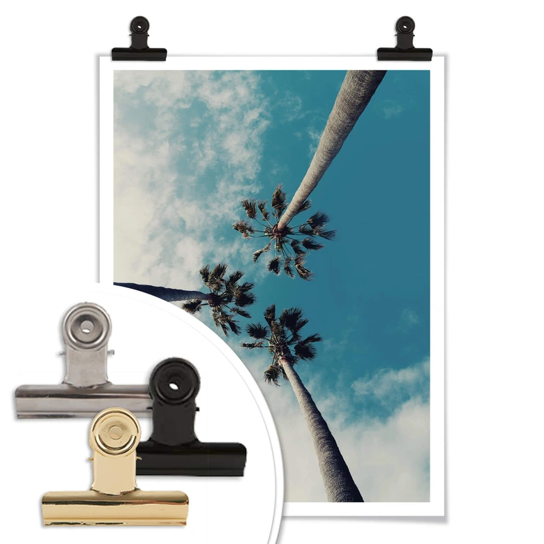 Poster Palm Trees 03 